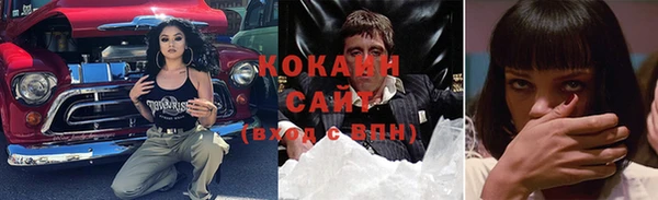 дживик Богородск