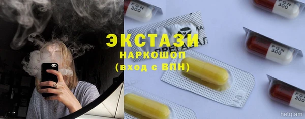 гашик Богородицк
