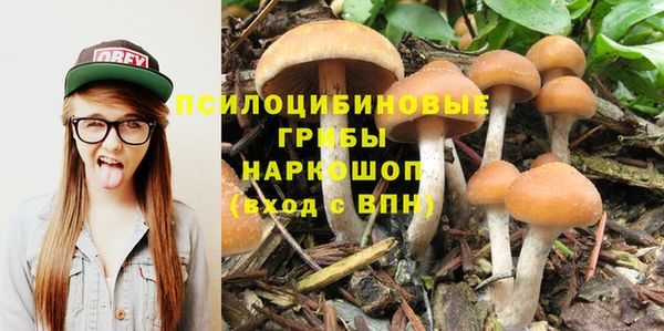 гашик Богородицк