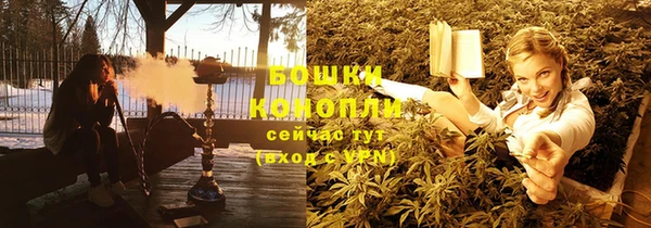дживик Богородск