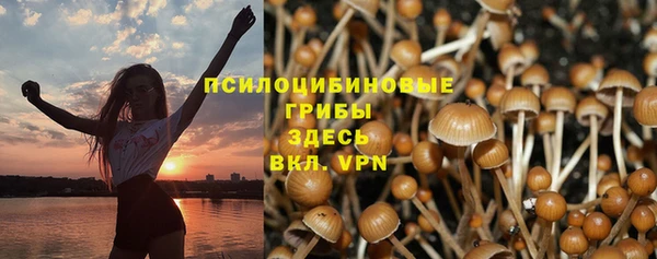 дживик Богородск