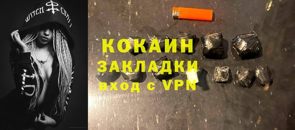 дживик Богородск