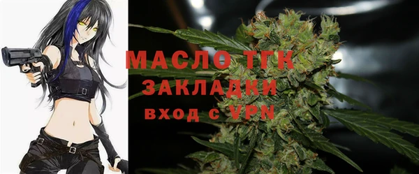 дживик Богородск
