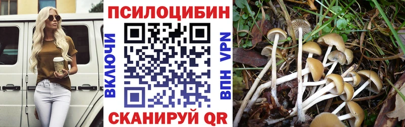 Купить  Владивосток  Галлюциногенные грибы Psilocybine cubensis 